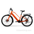 Bike elettrica in Segway personalizzato